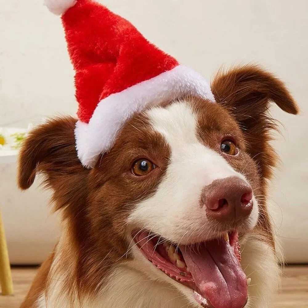 Pet Santa Hat with Scarf – Christmas Costume for Cats, Small Dogs, Rabbit, Red